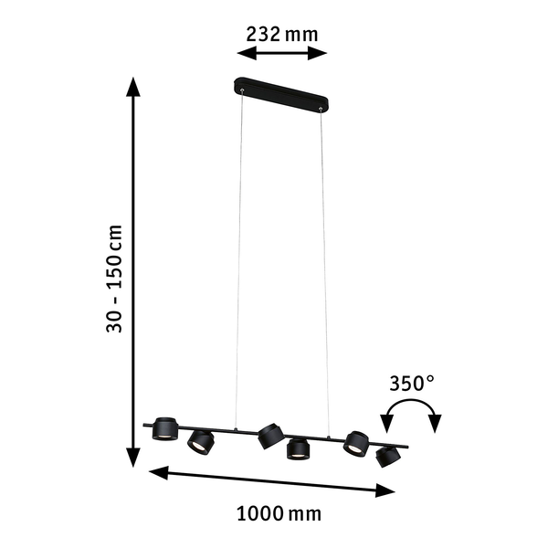 Pendelleuchte Puric Pane Wire ZB - Aluminium - Schwarz - 6-flammig