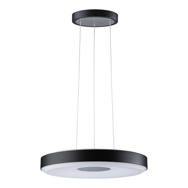 Pendelleuchte Puric Pane Wire ZB Rund - Aluminium - Schwarz - 1-flammig