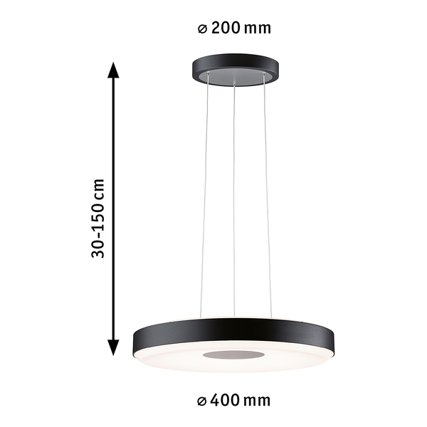Pendelleuchte Puric Pane Wire ZB Rund - Aluminium - Schwarz - 1-flammig