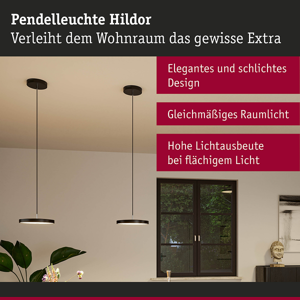 Pendelleuchte Hildor - Aluminium / Kunststoff - Schwarz - 1-flammig