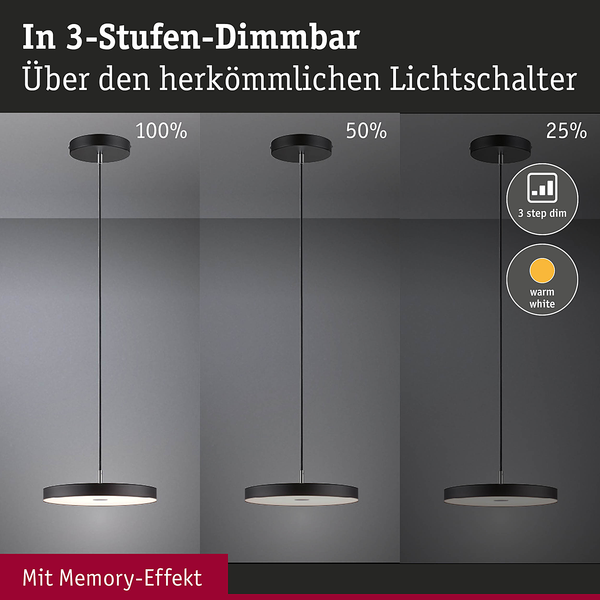 Pendelleuchte Hildor - Aluminium / Kunststoff - Schwarz - 1-flammig