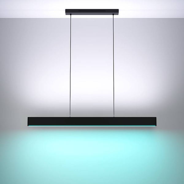 LED-Pendelleuchte Andreas-Z - Polycarbonat / Stahl - 2-flammig - Schwarz
