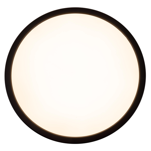 LED-Deckenleuchte Carlo - Kunststoff - Schwarz - 1-flammig - Durchmesser: 29 cm