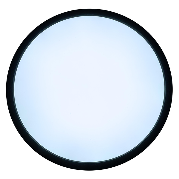 LED-Deckenleuchte Carlo - Kunststoff - Schwarz - 1-flammig - Durchmesser: 29 cm