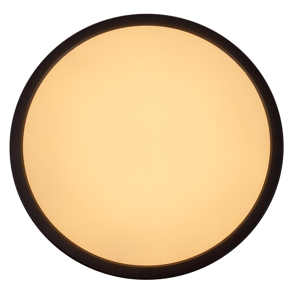 LED-Deckenleuchte Carlo - Kunststoff - Schwarz - 1-flammig - Durchmesser: 29 cm