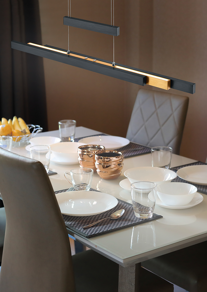 LED-Pendelleuchte Trajan - Eisen - 1-flammig