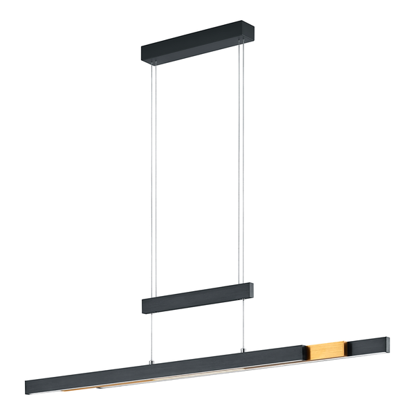 LED-Pendelleuchte Trajan - Eisen - 1-flammig