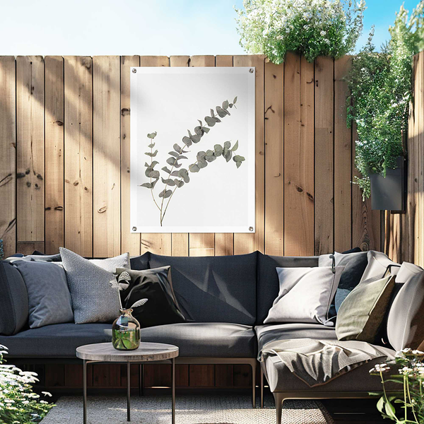 Outdoor-Poster Eukalyptus - PVC - Grün - 60 x 80 cm