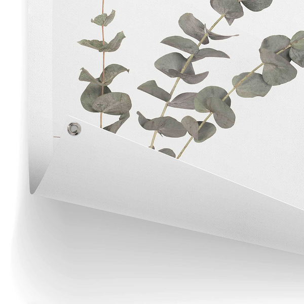 Outdoor-Poster Eukalyptus - PVC - Grün - 60 x 80 cm
