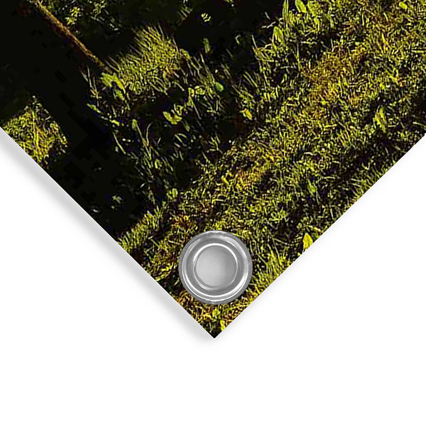 Kunstdruck Sonnenuntergang am See - PVC - Grün - 60 x 80 cm