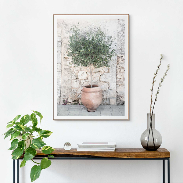 Gerahmtes Bild Olive Tree - Grün - 50 x 70 cm