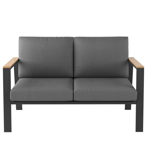 2-Sitzer Loungesofa Aviel - Aluminium / Polyester - Anthrazit