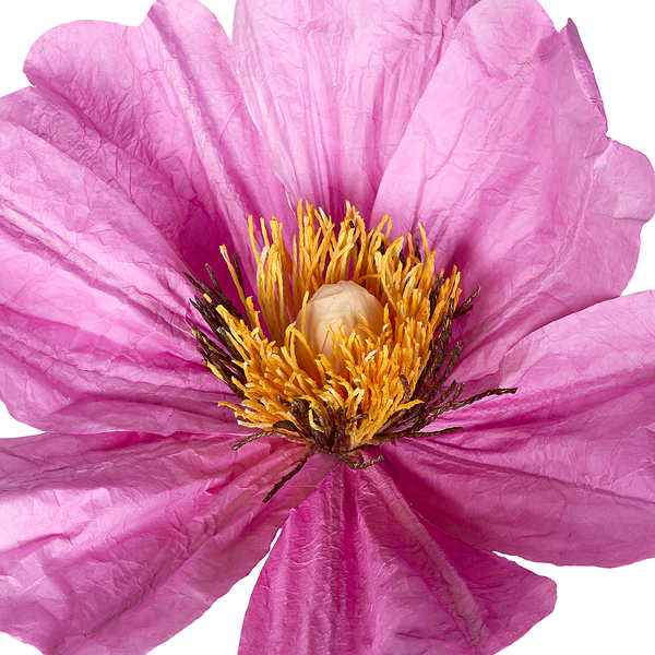 Deko-Blume BLOOM - Papier / Eisen - Violett