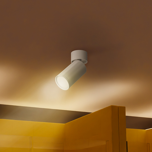 Deckenleuchte Focus S Typ D - Aluminium - 1-flammig