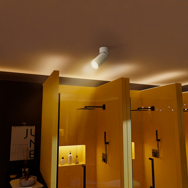 Deckenleuchte Focus S Typ D - Aluminium - 1-flammig