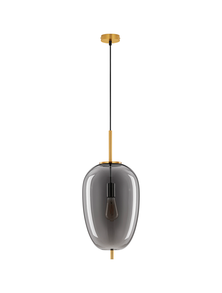 Pendelleuchte Lato Typ G - Rauchglas / Aluminium - 1-flammig