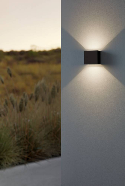 LED-Wandleuchte Calpino Typ A - Klarglas / Aluminiumguss - 2-flammig - Schwarz