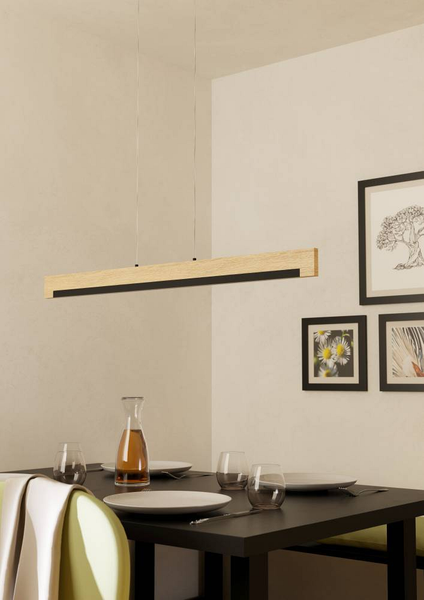 LED-Pendelleuchte Camacho - Kunststoff / Stahl - 1-flammig