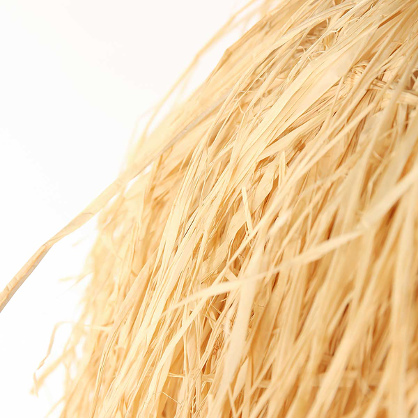 Pendelleuchte Grass - Beige - Pflanzenblatt - 53 x 150 x 53 cm