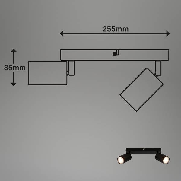 LED Deckenleuchte Spot - Schwarz - Flammenanzahl: 2