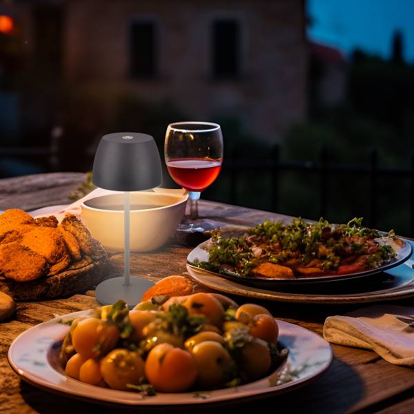 LED Akku Tischleuchte Serina Mini Typ B - Grau