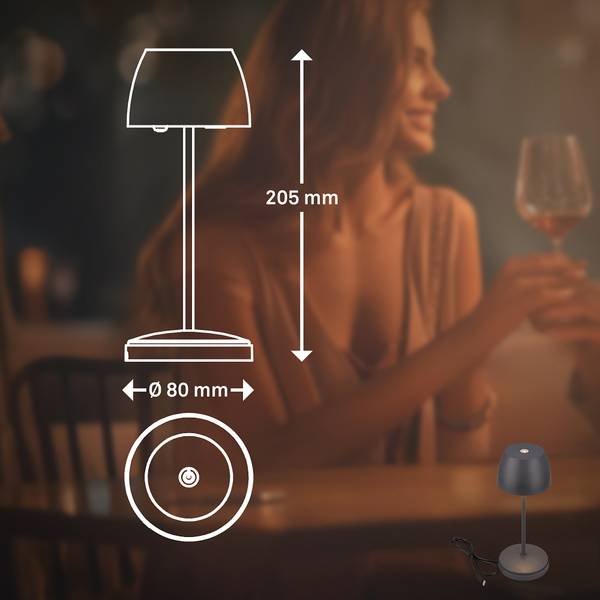 LED Akku Tischleuchte Serina Mini Typ B - Grau