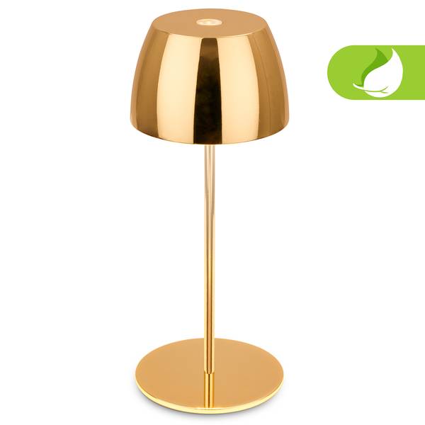 LED Akku Tischleuchte Serina Mini Typ A - Gold