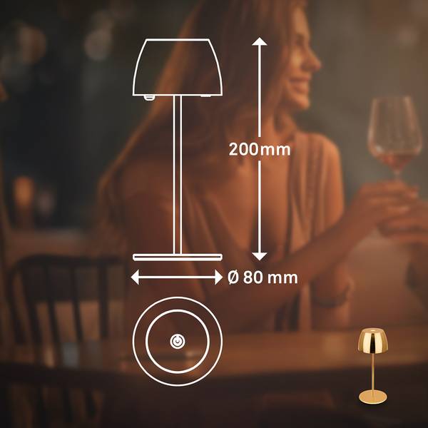 LED Akku Tischleuchte Serina Mini Typ A - Gold