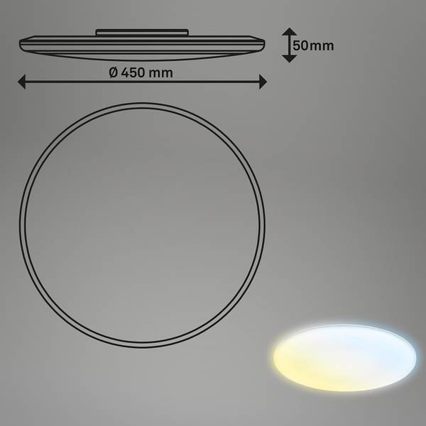LED Deckenleuchte Rowny - Durchmesser: 45 cm