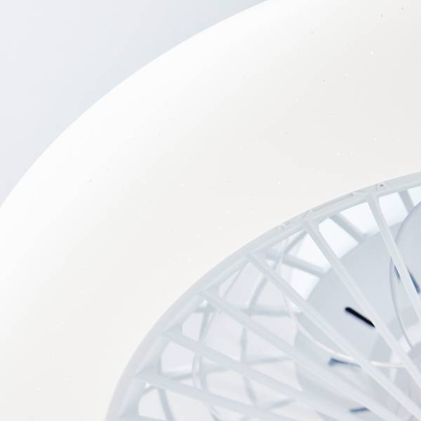 LED-Deckenventilator Salerno - Eisen / Kiefer - Schwarz - 1-flammig - Weiß