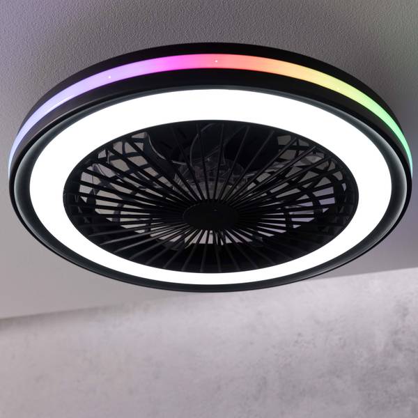 LED-Deckenventilator Palmero - Eisen / Kunststoff - Schwarz - 1-flammig