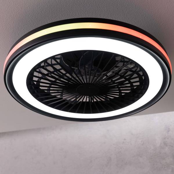 LED-Deckenventilator Palmero - Eisen / Kunststoff - Schwarz - 1-flammig