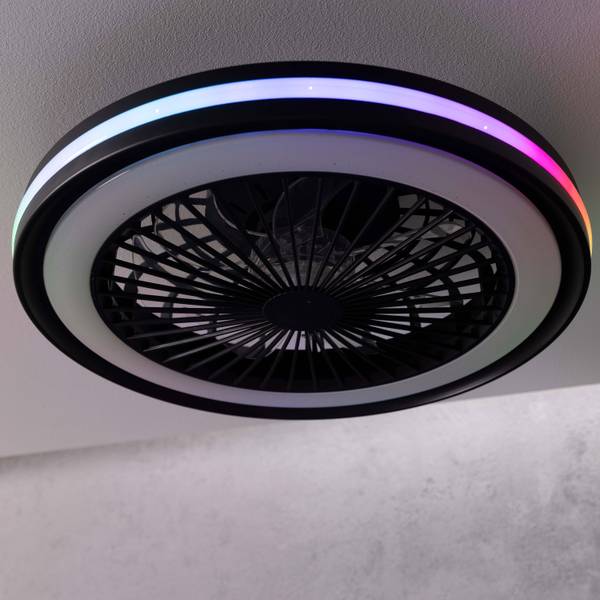 LED-Deckenventilator Palmero - Eisen / Kunststoff - Schwarz - 1-flammig