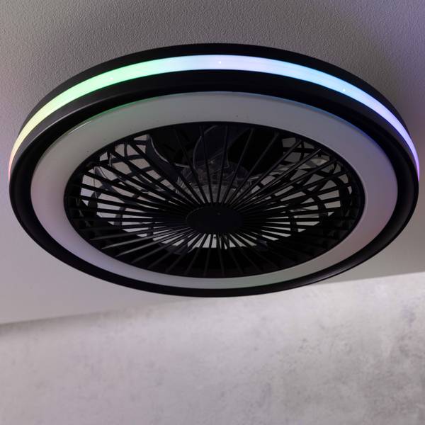 LED-Deckenventilator Palmero - Eisen / Kunststoff - Schwarz - 1-flammig
