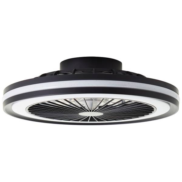 LED-Deckenventilator Palmero - Eisen / Kunststoff - Schwarz - 1-flammig