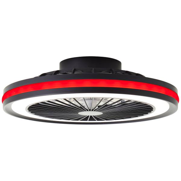 LED-Deckenventilator Palmero - Eisen / Kunststoff - Schwarz - 1-flammig