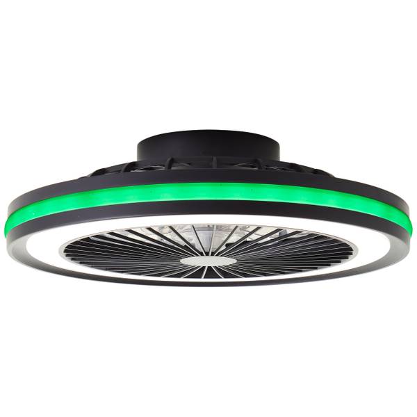 LED-Deckenventilator Palmero - Eisen / Kunststoff - Schwarz - 1-flammig