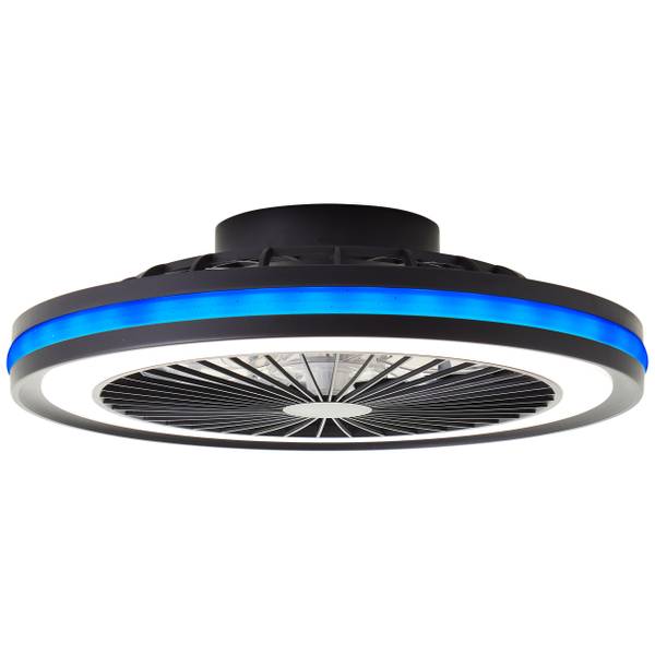 LED-Deckenventilator Palmero - Eisen / Kunststoff - Schwarz - 1-flammig