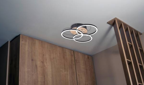 LED-Deckenleuchte Circle - Eisen - 1-flammig - Braun