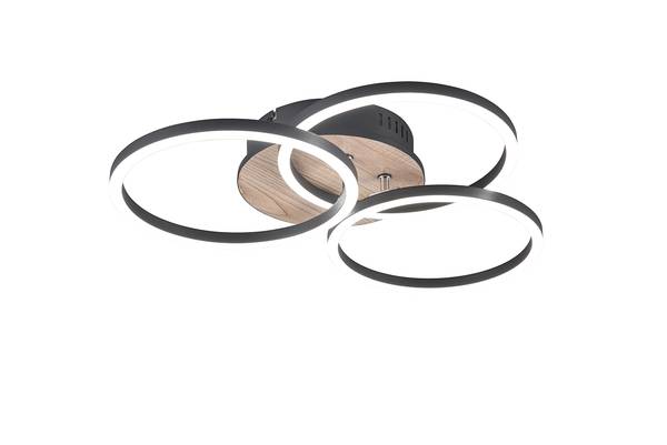 LED-Deckenleuchte Circle - Eisen - 1-flammig - Braun