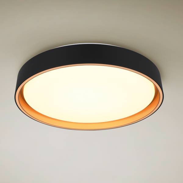LED-Deckenleuchte Felis - Kunststoff - Schwarz - 1-flammig