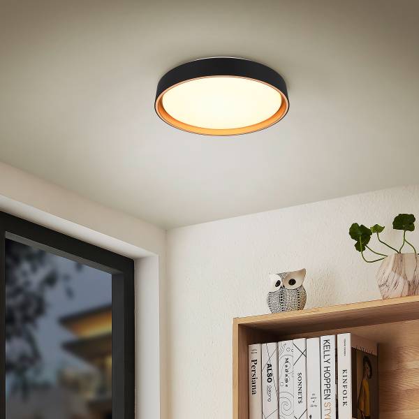 LED-Deckenleuchte Felis - Kunststoff - Schwarz - 1-flammig