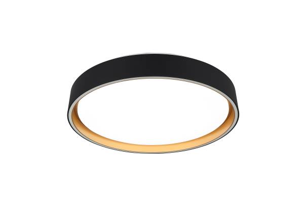 LED-Deckenleuchte Felis - Kunststoff - Schwarz - 1-flammig
