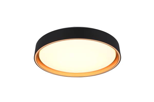 LED-Deckenleuchte Felis - Kunststoff - Schwarz - 1-flammig