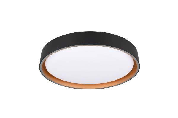 LED-Deckenleuchte Felis - Kunststoff - Schwarz - 1-flammig