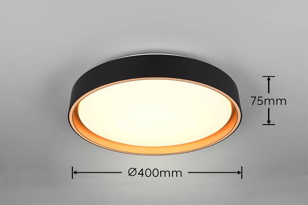 LED-Deckenleuchte Felis - Kunststoff - Schwarz - 1-flammig