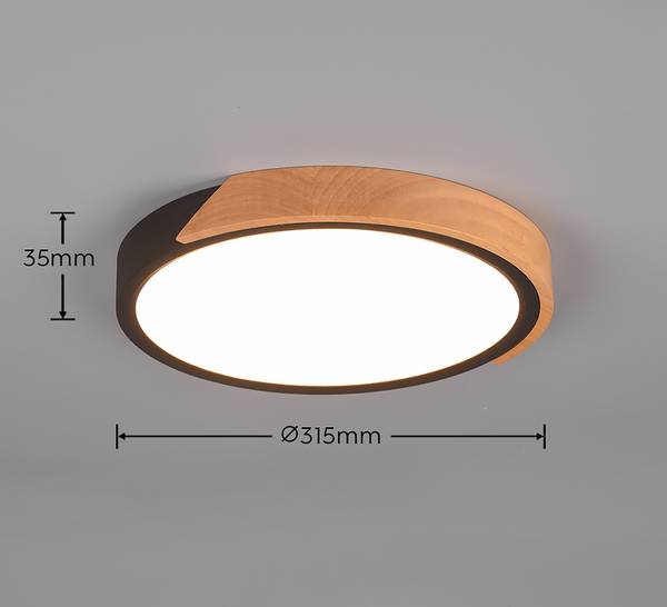 LED-Deckenleuchte Jano - Kunststoff / Gummibaum - 1-flammig - Schwarz