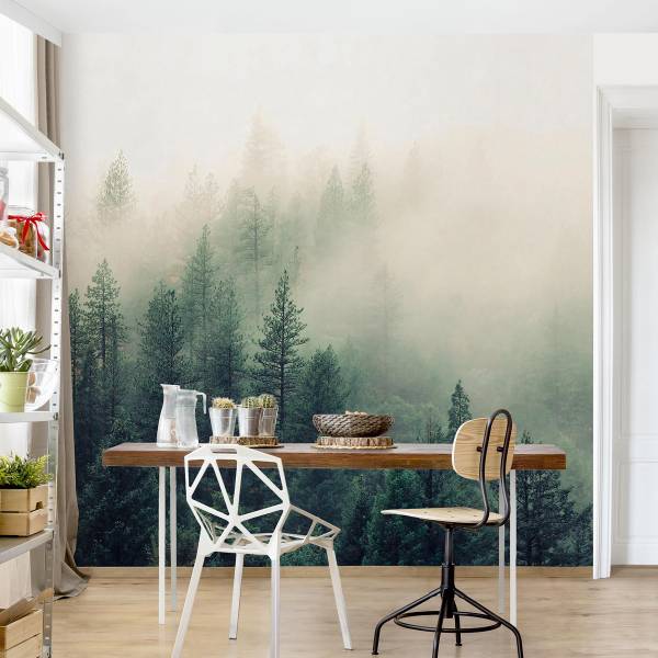Fototapete Wald im Nebel Erwachen - Vlies - Grün / Mehrfarbig - 288 x 288 cm