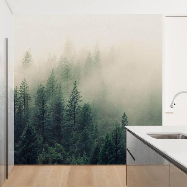 Fototapete Wald im Nebel Erwachen - Vlies - Grün / Mehrfarbig - 288 x 288 cm