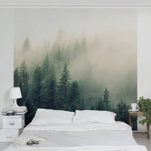 Fototapete Wald im Nebel Erwachen - Vlies - Grün / Mehrfarbig - 288 x 288 cm